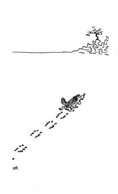 snubnosed bushytail