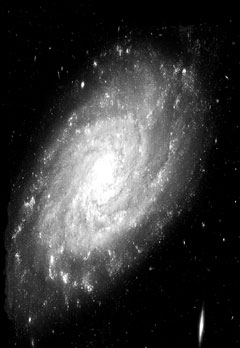 spiral galaxy